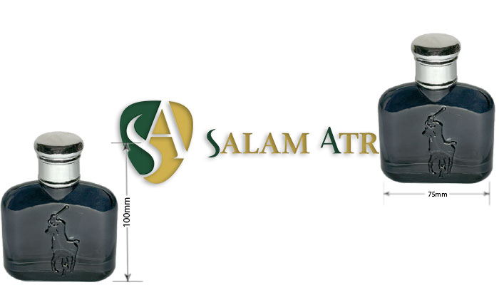 سایز شیشه عطر پولو کتابی 50 میل مدل PT184C
